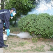 Sursă foto: www.adevarul.ro