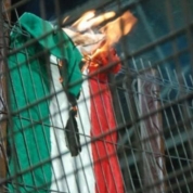 sursa foto: rapidfans.ro