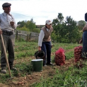 „Cartoful de Râșca” este unul dintre produsele de fală ale județului Cluj