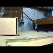 VIDEO: Vezi cum se chinuie un șoricel să fure un biscuit